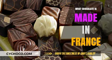 Indulge in the Richness: France's Finest Chocolate Creations Unveiled