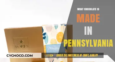 Discover the Rich Flavors of Pennsylvania's Artisan Chocolate Scene