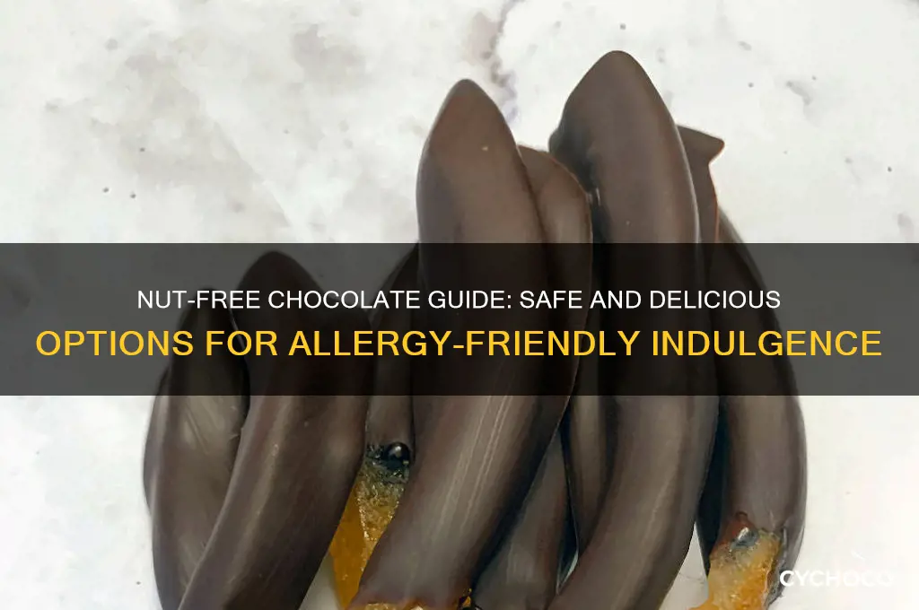 what chocolate is nut free