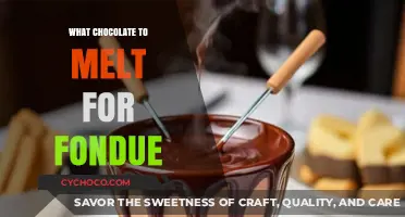 Indulgent Chocolate Fondue: A Guide to the Perfect Melt