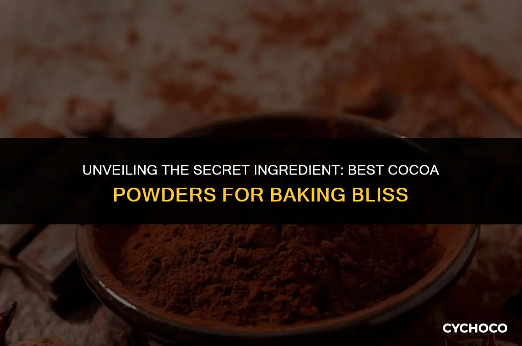 what cocoa powder is best for baking
