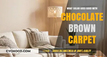 Complementing Chocolate Brown Carpets: A Guide to Harmonious Color Pairings