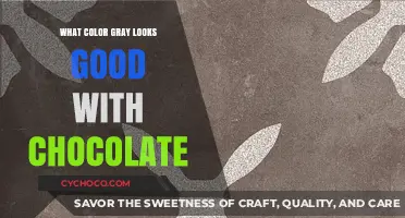 Sweet Harmony: The Perfect Gray Shades to Complement Chocolate