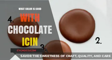 Sweet Harmony: Exploring the Perfect Colors to Complement Chocolate Icing