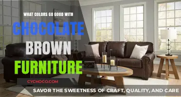 Harmonious Hues: Perfect Colors to Complement Chocolate Brown Furniture