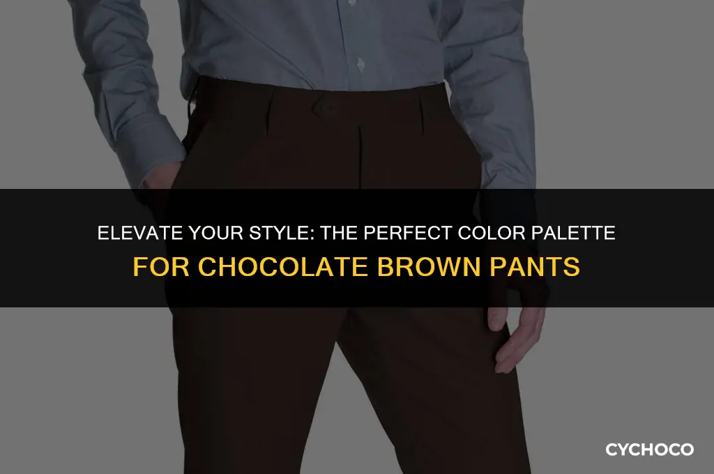 what colors look good with chocolate brown pants