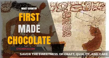 The Sweet Origins: Unveiling the Ancient Roots of Chocolate