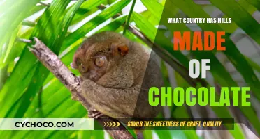 Discovering the Chocolate Hills: A Sweet Geographical Wonder