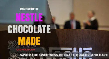 Decoding the Origins: Where Nestlé Chocolate Comes From