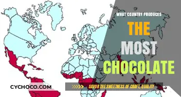 Decoding the Sweet Secrets: Which Nation Reigns Supreme in Chocolate Production?