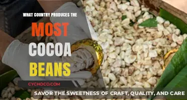 Global Cocoa Leader: Which Country Produces the Most Cocoa Beans?