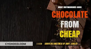 Decoding Quality: The Fine Line Between Gourmet and Budget Chocolate