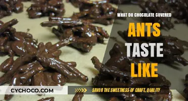 Unveiling the Unique Flavor: Chocolate-Covered Ants Taste Test