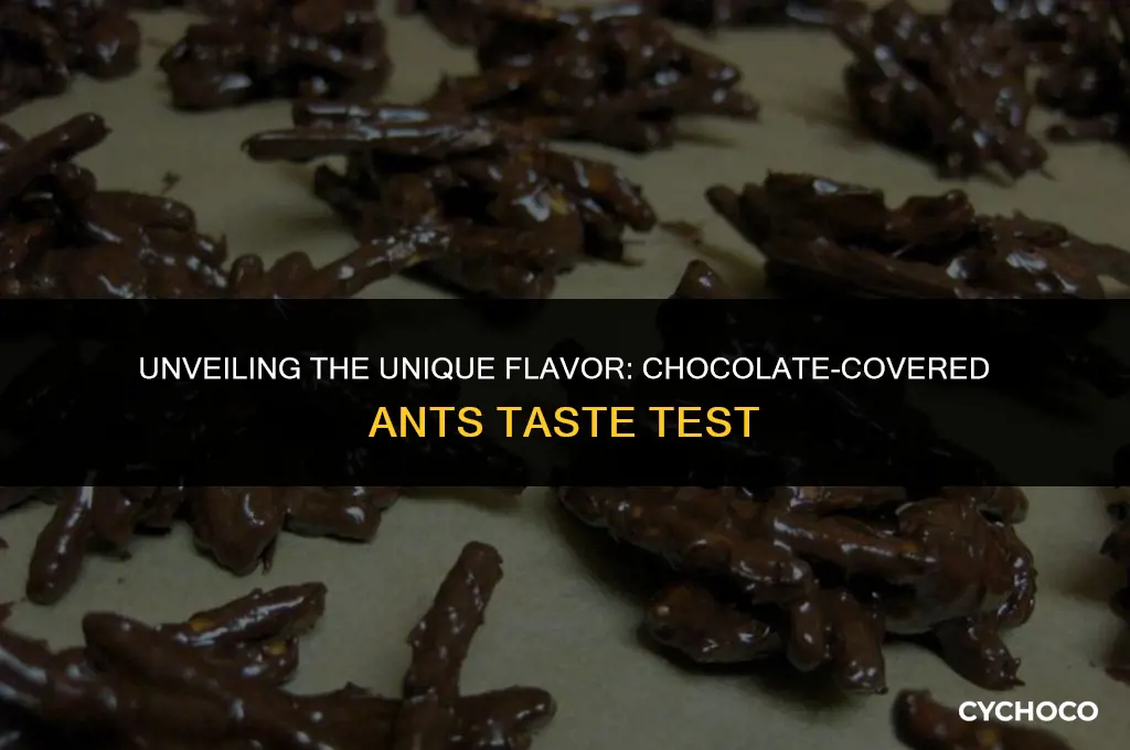 what do chocolate covered ants taste like