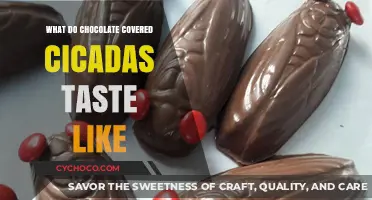 Unveiling the Unique Flavor of Chocolate-Covered Cicadas: A Tasty Adventure