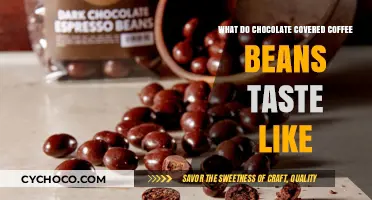 Unveiling the Rich Flavor of Chocolate-Covered Coffee Beans