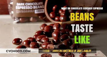 Unveiling the Rich Flavor of Chocolate-Covered Espresso Beans