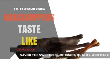 Unveiling the Unique Flavor of Chocolate-Covered Grasshoppers: A Taste Adventure