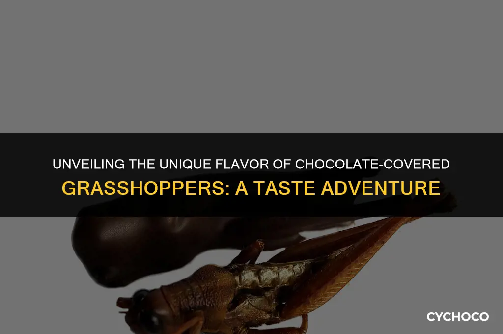 what do chocolate covered grasshoppers taste like