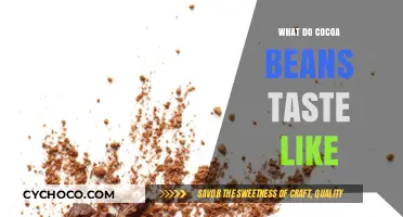 Exploring the Unique Flavor Profile of Cocoa Beans: A Tasting Guide