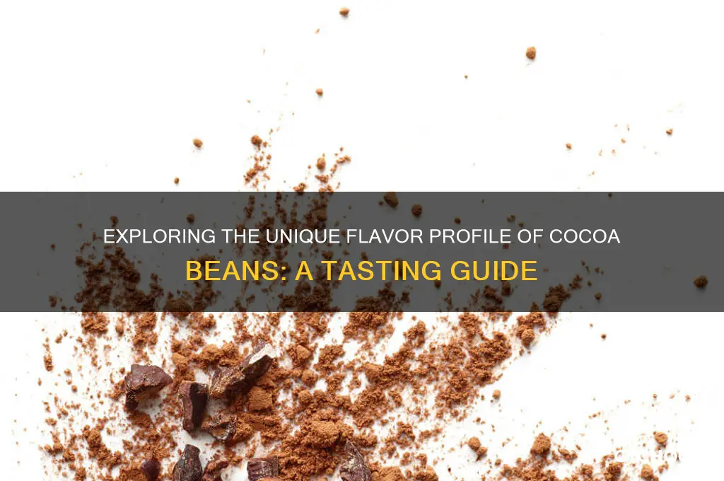 what do cocoa beans taste like
