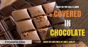 Decadent Delights: Chocolate-Draped Lamb Steals the Show