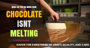 Troubleshooting Chocolate: Why It's Not Melting and How to Fix It