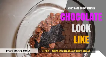 The Art of Chocolate: Understanding Burnt and Melted Textures