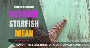 Decoding the Meaning Behind Chocolate-Covered Starfish: A Sweet Mystery Unveiled