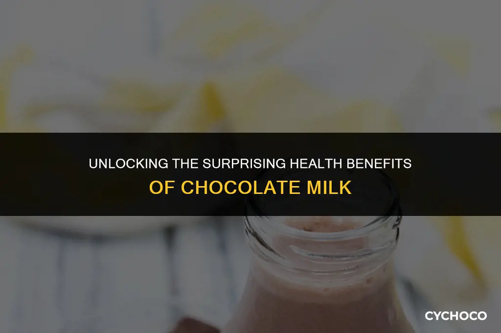 what does chocolate milk do to your body