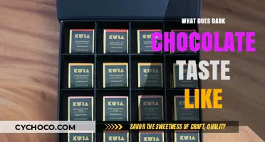 Exploring the Rich and Complex Flavors of Dark Chocolate