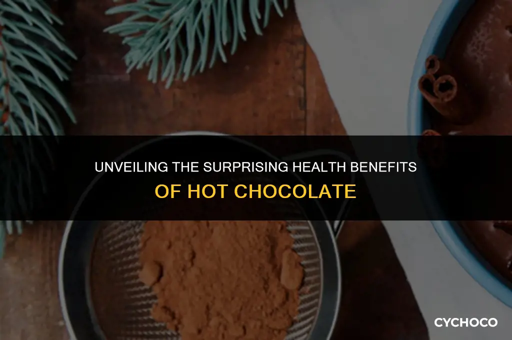 what does hot chocolate do to your body