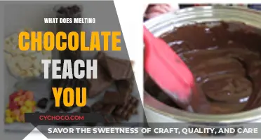 Unwrapping Life's Lessons: The Art of Melting Chocolate