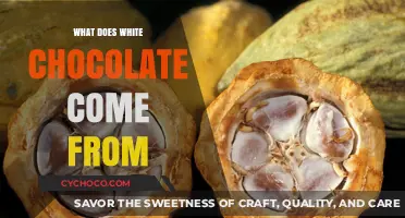 Unveiling the Sweet Origins: What Does White Chocolate Come From?