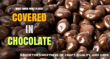 Indulge in Decadence: The Ultimate Guide to Chocolate-Covered Dried Fruits