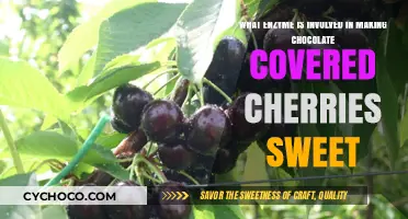 Unveiling the Sweet Secret: Enzymes in Chocolate-Covered Cherries