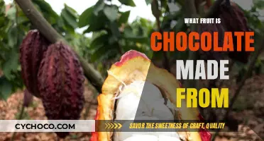 Unveiling the Surprising Fruit Behind Chocolate's Rich Flavor