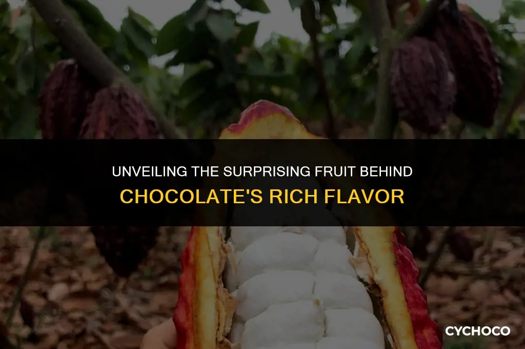 what fruit is chocolate made from