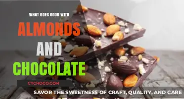 Delicious Pairings: Almonds and Chocolate's Perfect Matches
