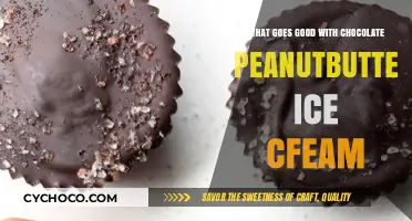 Delicious Pairings: What Goes Perfectly with Chocolate Peanut Butter Ice Cream