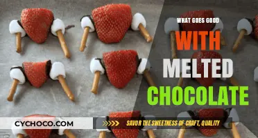 Delicious Pairings: What Goes Perfectly with Melted Chocolate