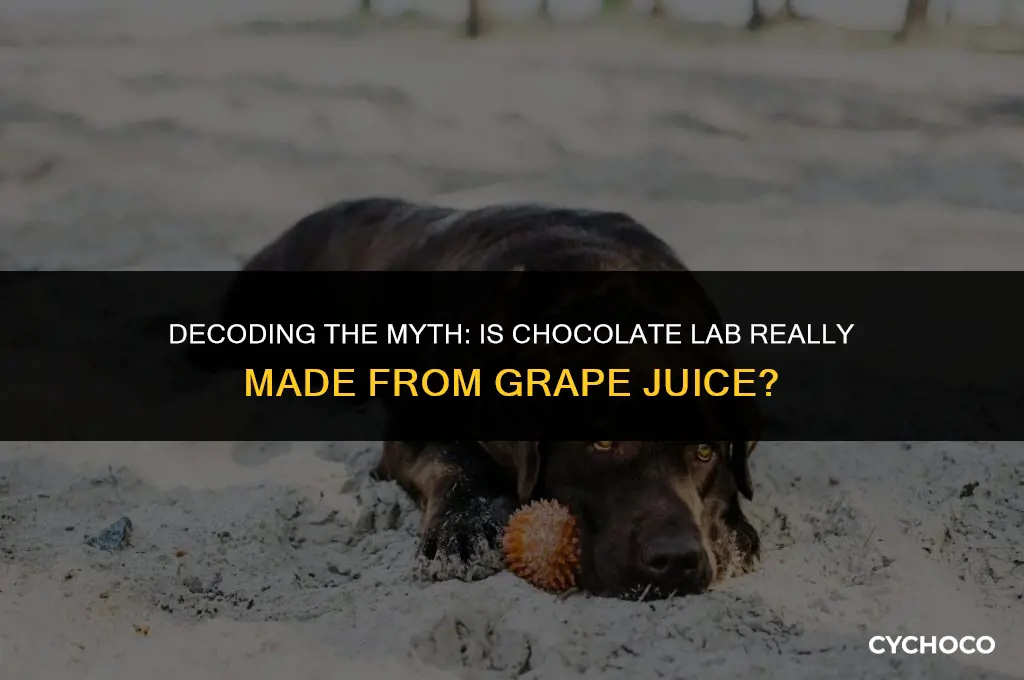 what grape juice is chocolate lab made