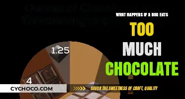 The Sweet Danger: Chocolate Toxicity in Dogs Explained