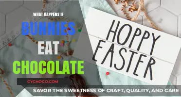 Chocolate Danger: Why Bunnies Should Never Eat Sweet Treats