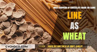 Cross-Contamination Concerns: Chocolate and Wheat Allergies Unveiled