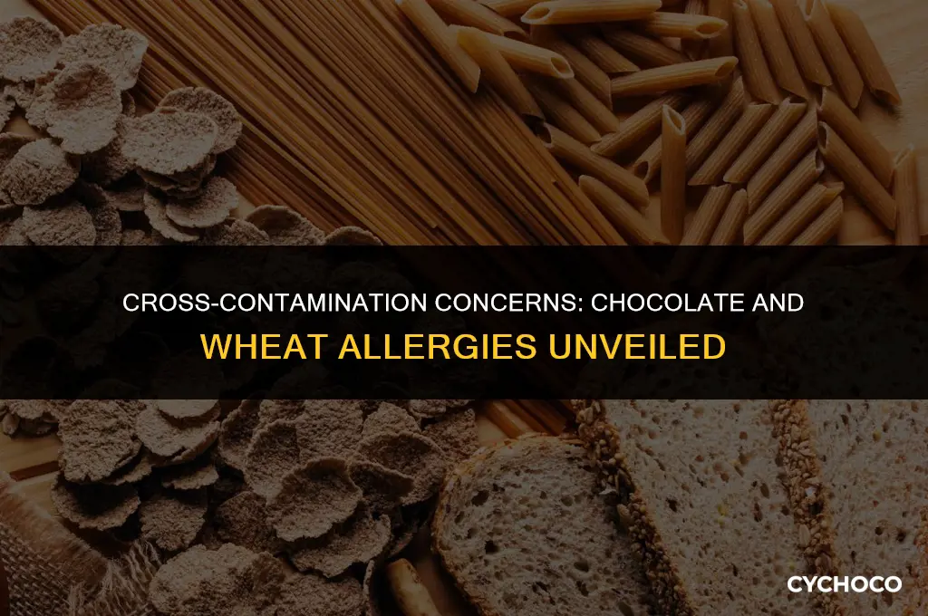what happens if chocolate made on same line as wheat