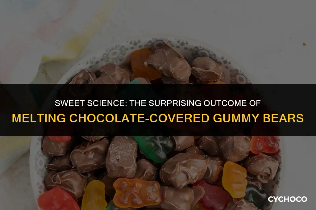 what happens if i melt chocolate covered gummy bears