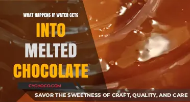 Sweet Disaster: The Unwanted Consequences of Water Meeting Melted Chocolate