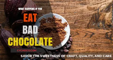 The Bitter Consequences: What Happens If You Eat Bad Chocolate?