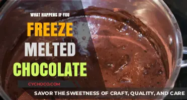 The Sweet Science: What Happens When You Freeze Melted Chocolate